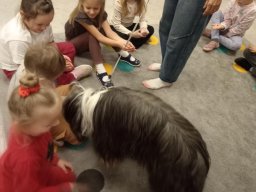 2025-10-24 DOGOTERAPIA (BIEDRONKI)